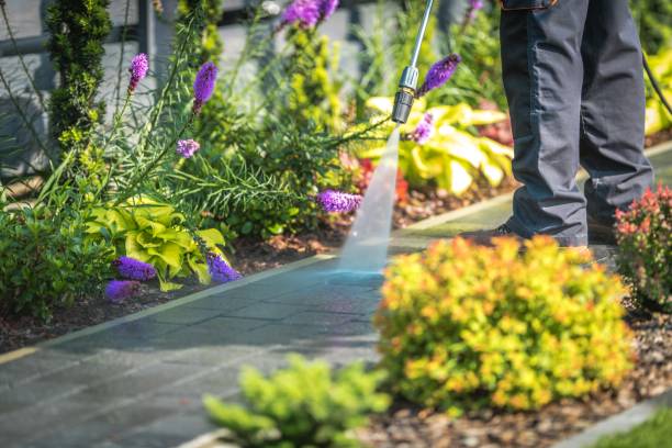 Best Dumpster Area Cleaning  in Saratoga, WY